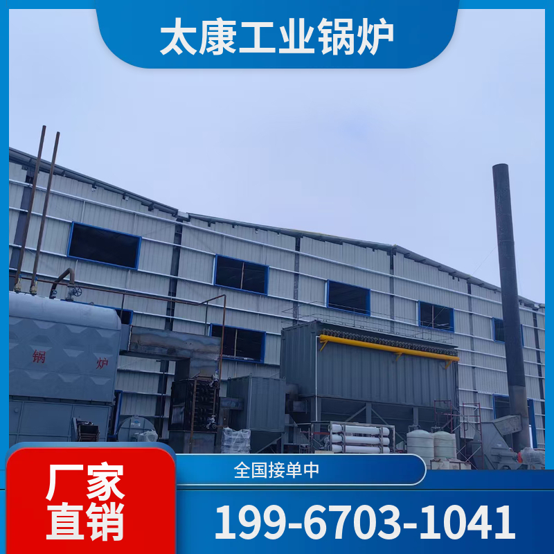 日照生物质导热油锅炉